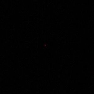 Meet your Posher, Abbie